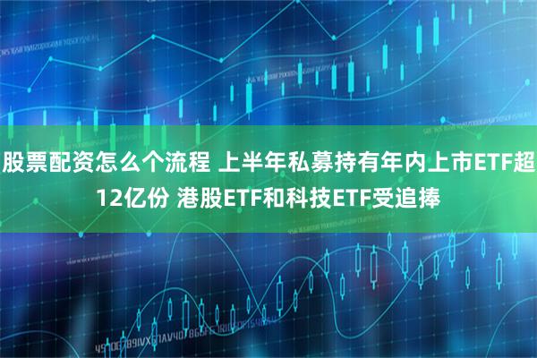股票配资怎么个流程 上半年私募持有年内上市ETF超12亿份 港股ETF和科技ETF受追捧